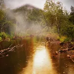 Rain and low light: common fall driving hazards